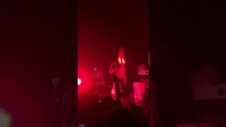 Columbine - Labo photo (live)