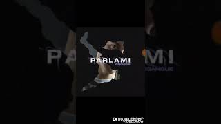 Mezzosangue - Parlami (ANTEPRIMA UFFICIALE)