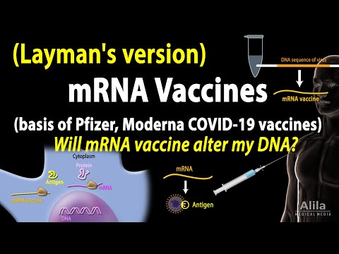 Antibiotics Mechanisms of Action Animation