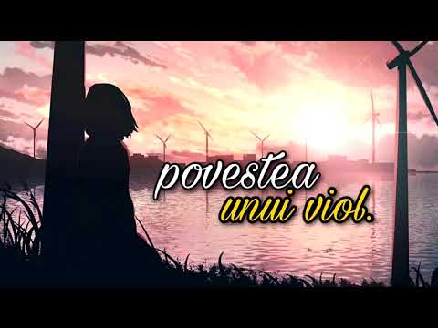 Vizante - Povestea unui viol