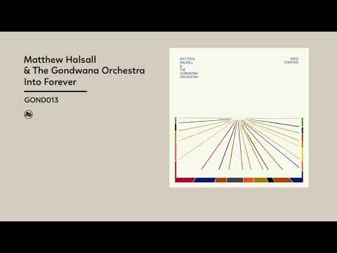 Matthew Halsall, The Gondwana Orchestra - Into Forever (Official Album Video)