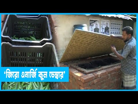বিদ্যুৎ ছাড়া শুধু পানি দিয়ে চলে হিমাগার!