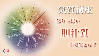 ２怒りっぽい胆汁質の気質とは？