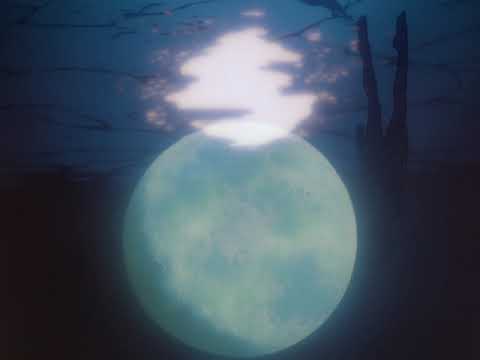 FLY ME TO THE MOON