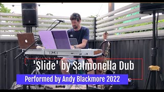 Slide by Salmonella Dub performed by Andy Blackmore