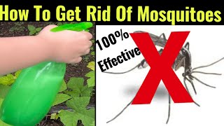 How To Get Rid Of Mosquitoes In Your Yard / Homemade Natural Mosquito Repellent 100% Effective