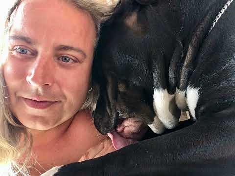 L'amore è tutti qui