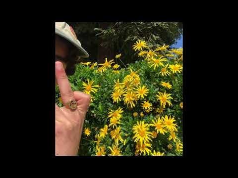 CAPRIISUN - JUN!PER 2 (Full Album)