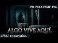 COMPRARON UNA CASA MALDITA POR UNA RAZÓN TERROR PELÍCULA EN ESPAÑOL