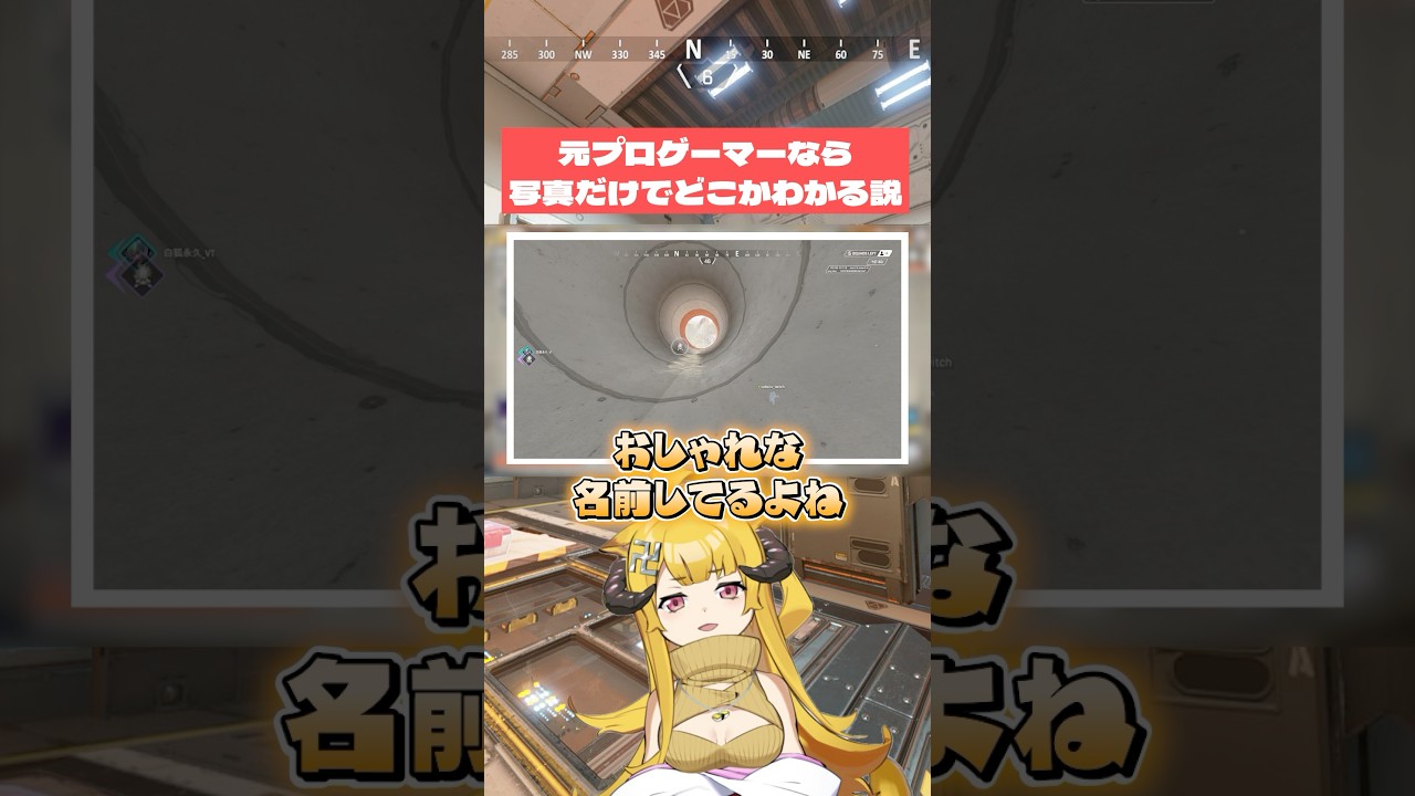 元プロゲーマーなら写真を見ただけで簡単にどこかわかる説 #おしゅ #vtuber #apex