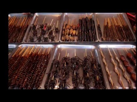 Пекин экскурсионный день четвёртый