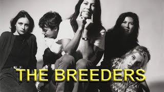 THE BREEDERS - Cannonball Live at The Pinkpop Festival