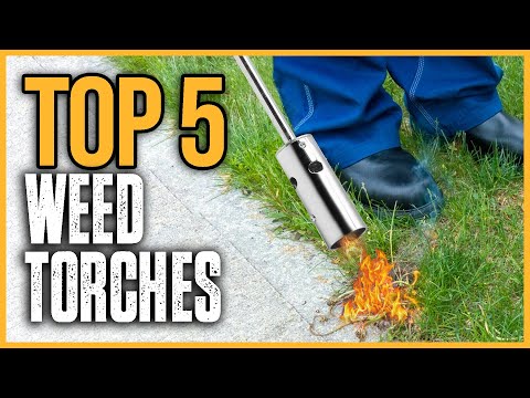 Best Weed Torches 2024 | Top 5 Best Weed Torches On Amazon