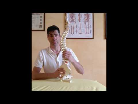 3 settimane mal di schiena Dolore intestinale crampi nel dare indietro