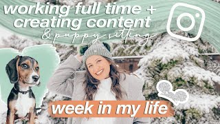 WEEK IN MY LIFE | creating content, puppy sitting, & working!