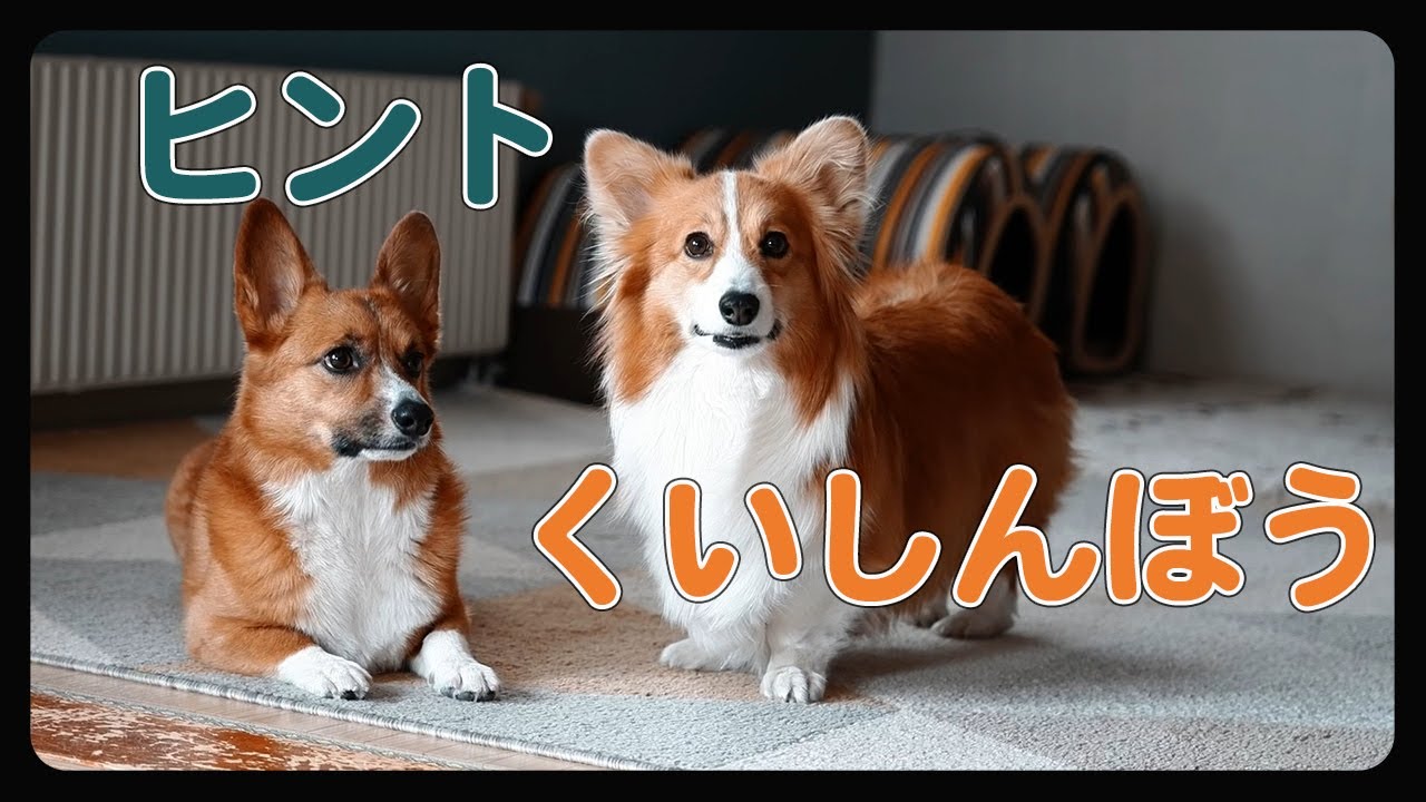 むうがいつ、たのむっと言ったのか当ててみよう