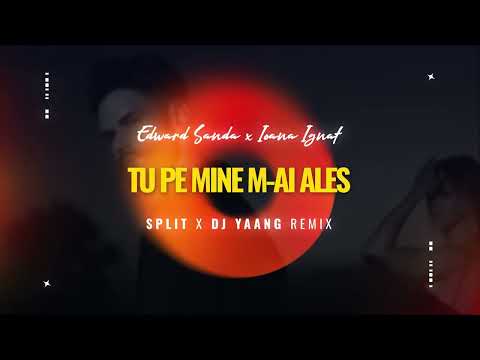 Edward Sanda x Ioana Ignat - Tu pe mine m-ai ales (SPLIT X DJ Yaang Remix)