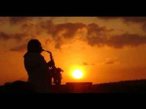 Yola Araujo   Estragaste