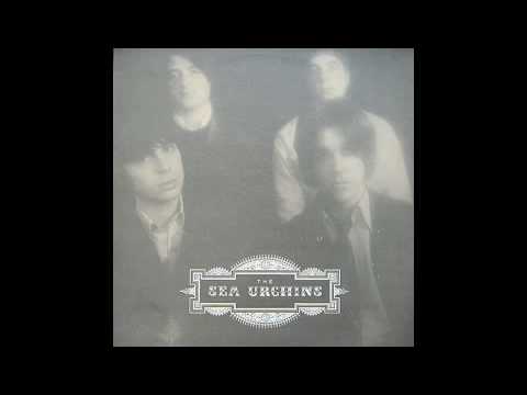 The Sea Urchins - No Matter What