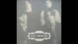The Sea Urchins - No Matter What