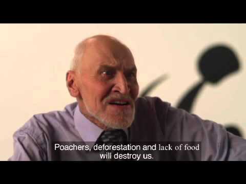 Roar Speech - Nikolay Drozdov