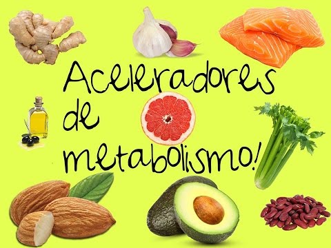 10 Alimentos que aceleran tu metabolismo 10 Alimentos que aceleran tu metabolismo