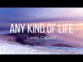 Lewis Capaldi - Any Kind Of Life (Lyrics)