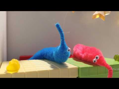 Die Neusten Wurm Narichten🐛