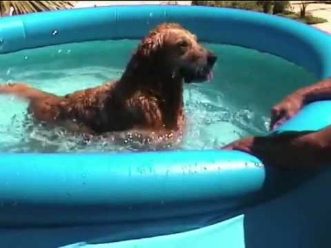 comment renforcer piscine hors sol