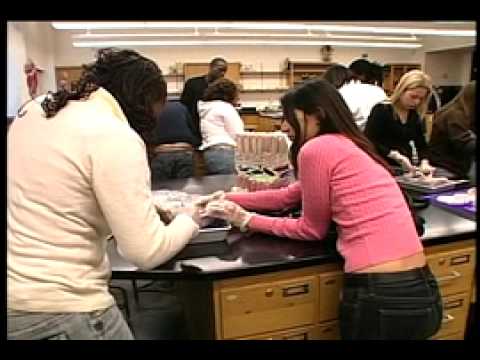 Kingsborough Community College