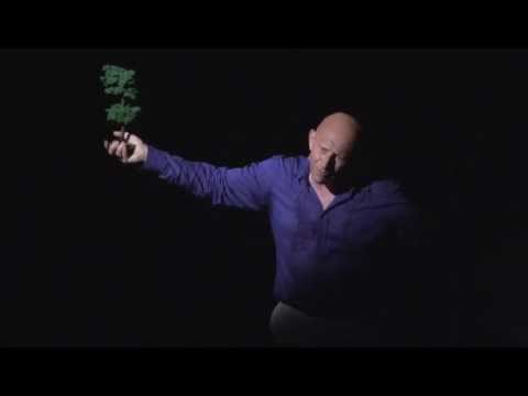 comment traiter mildiou