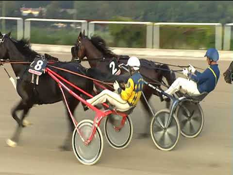 Trotto 22/09/2019 - 2ª corsa