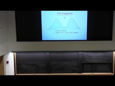 Charles Fefferman - Formation of singularities in fluid interfaces