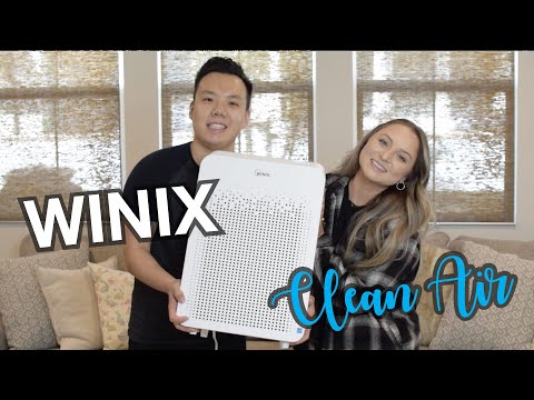 Costco Finds: Winix C545 One Year Review