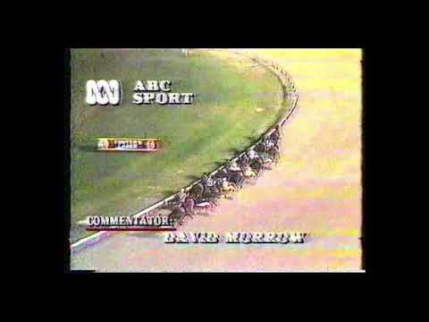 1986 Inter Dominion Heat 8 - Stylish Guy