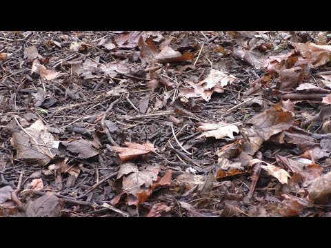 Morning Prayer – Thursday, 10th February 2022