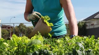 preview picture of video 'Living Mosman: A Sustainable Community'