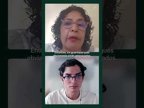 ¿Qué tan grande es el daño ecológico ocasionado por la minería en La Pampa, en Perú?