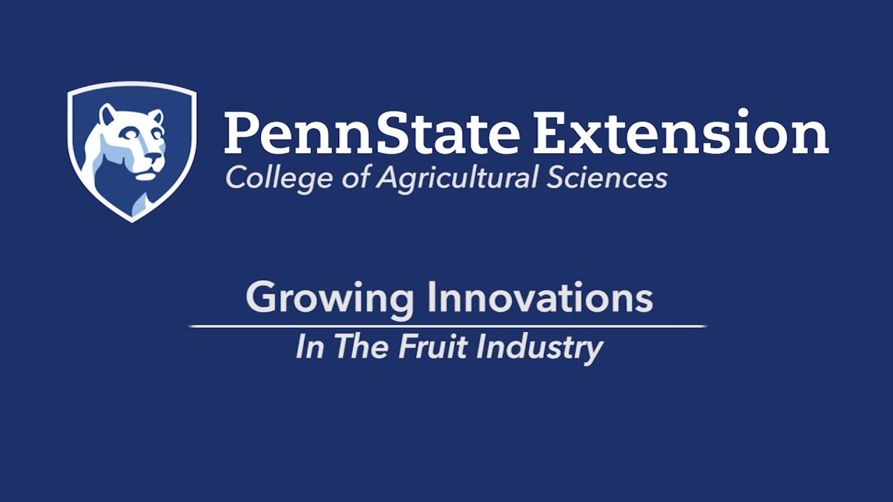 Tree Fruit Team Impacts