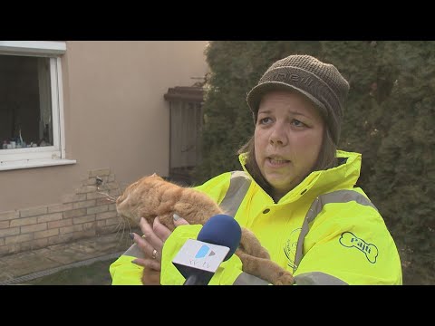 Heti Hírtükör - 2022.01.28.