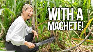 One Place in Costa Rica to Try Harvesting Sugar Cane