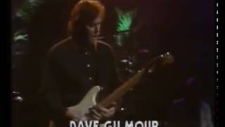 David Gilmour - Run like hell