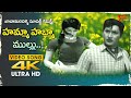 Hamma Habba Mullu Song 4K Sarada Seducing Sobhan Babu Sisindri Chittibabu Old Telugu Songs