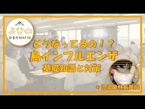 ドイツの鳥インフルエンザ:危険ですか?
