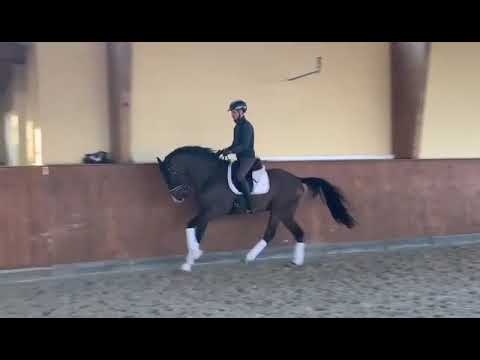 Sacramento D'oro by Secret (Sezuan)