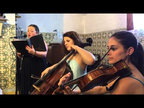 ExpreSom - Vamos deixar nascer a paz, V. Pereira