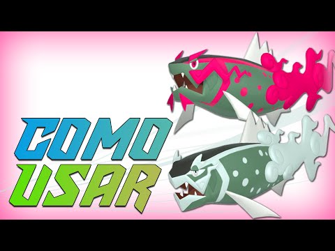 HOW TO USE BASCULEGION! | Competitive Pokémon Scarlet & Violet