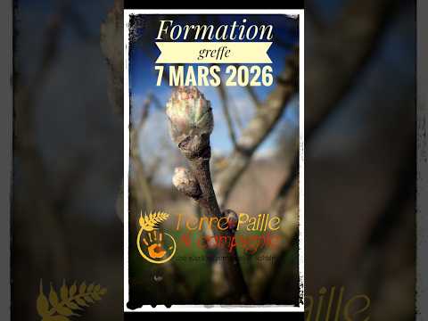 Grafting Workshop: Fruit Tree to Take Home, €60. terre-paille.fr