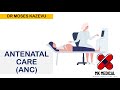 Antenatal Care ANC