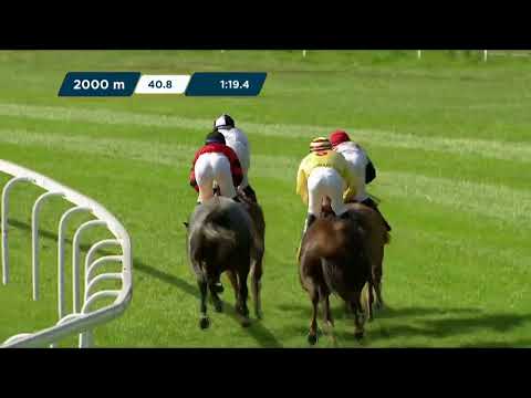 NAGRODA POLSKIEGO ZWIĄZKU HODOWCÓW KONI ARABSKICH – (KAT. B) 10.09.2023 - (Dzień 31; Gonitwa 4)